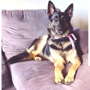 🐝 30% off Bundles of 3 or more items! And Free🎁!